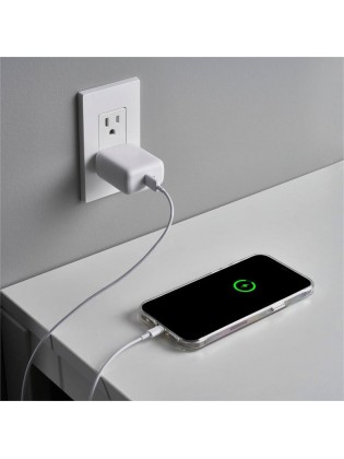 30W USB C Wall Charger  (Single shot is not delivered)